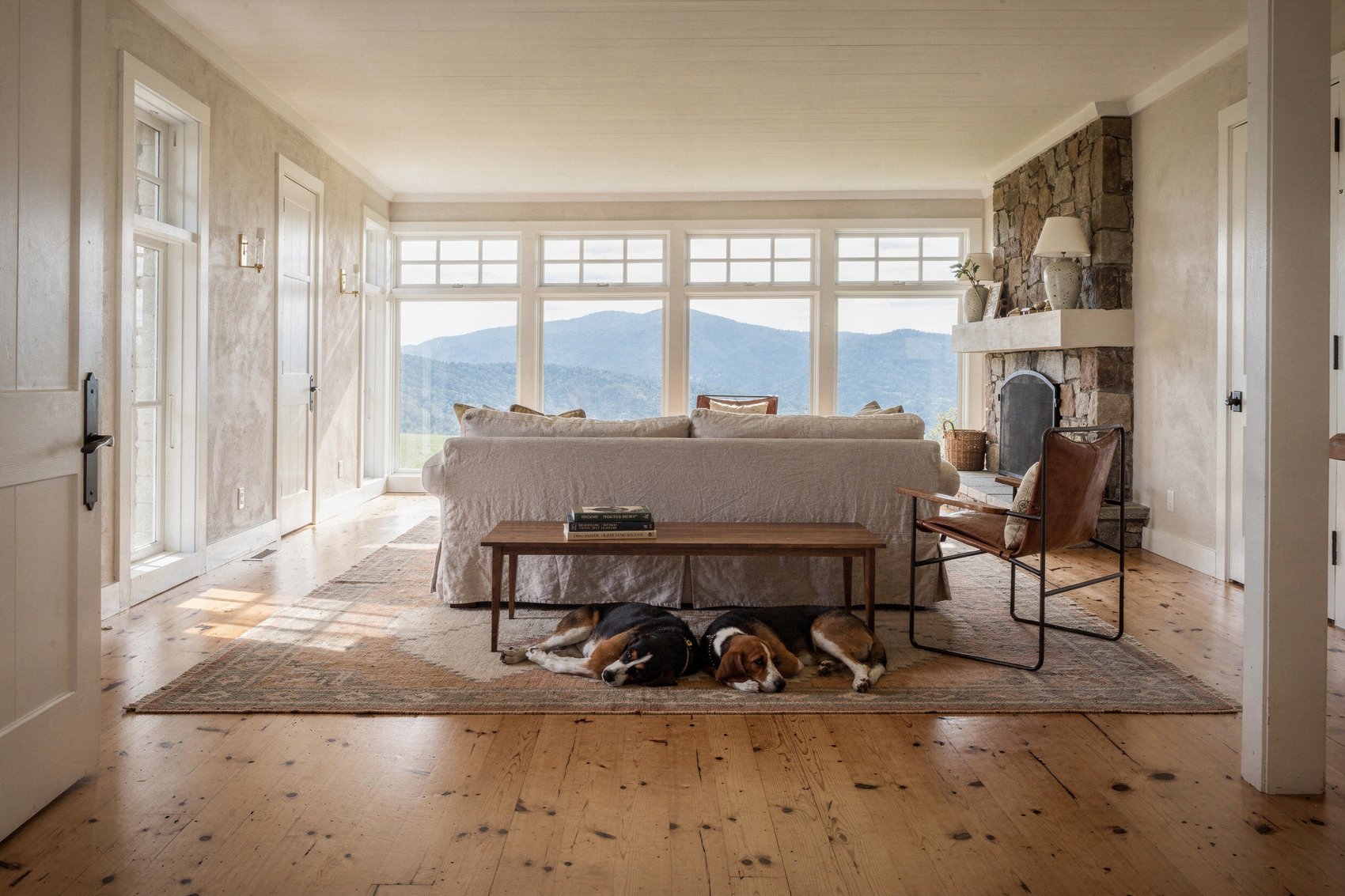 Grounded Moss: Living Room