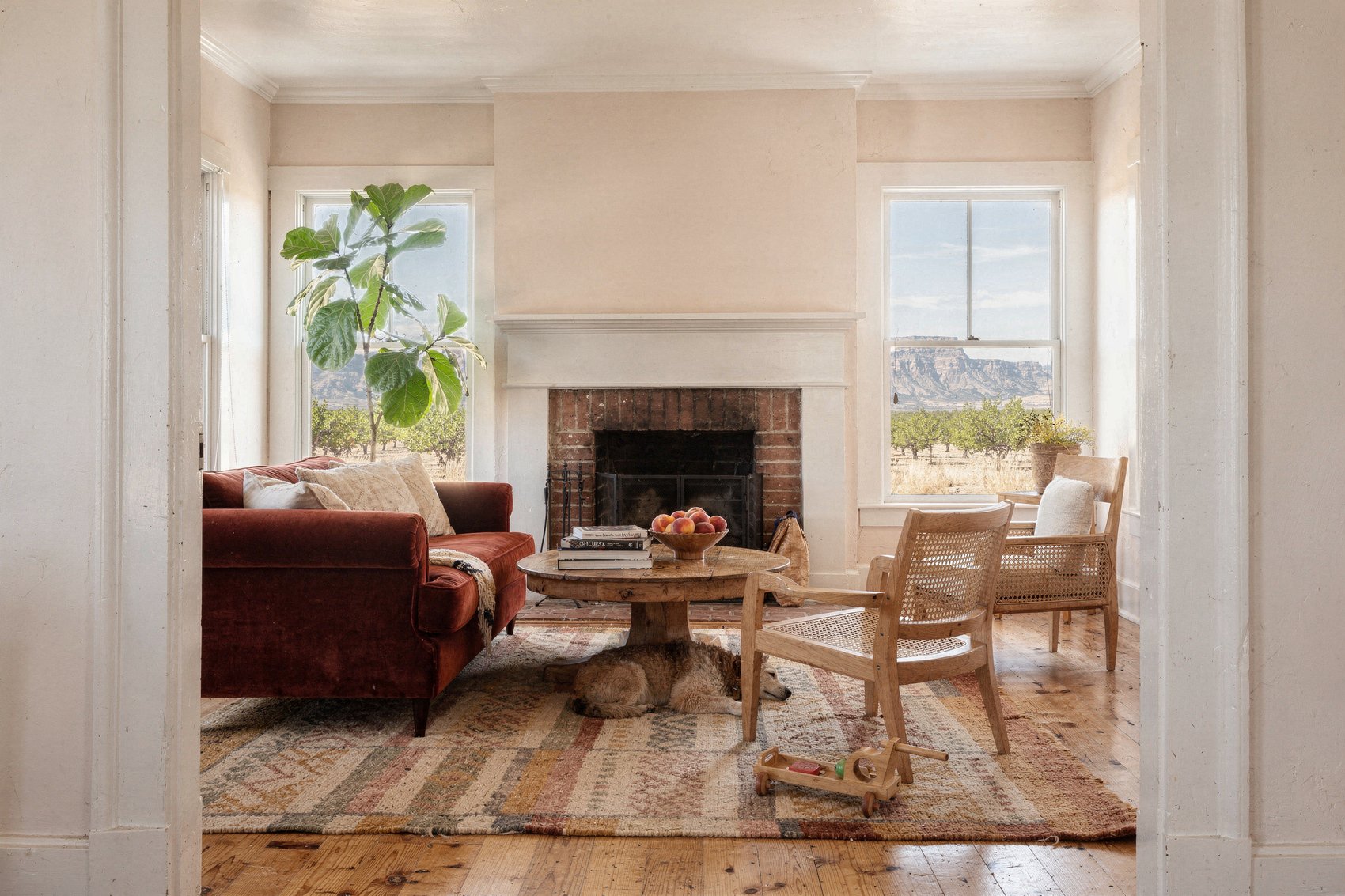 Palisade Peach: Living Room